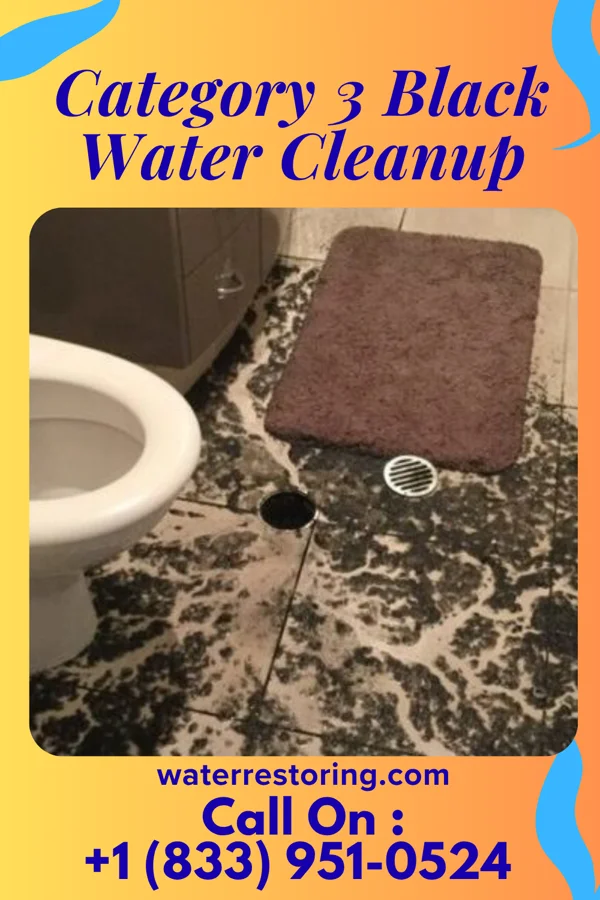 Category 3 Black Water Cleanup in Duchess Landing, OK